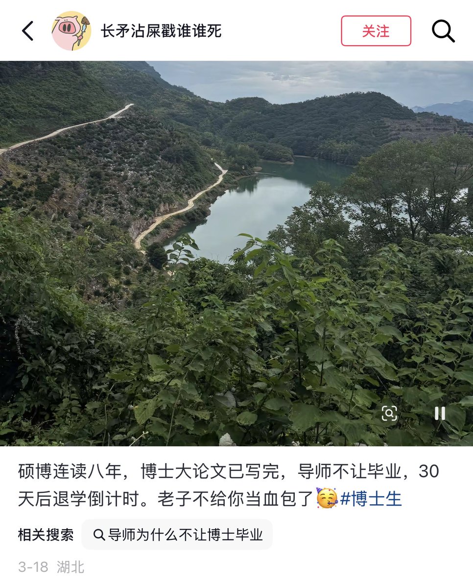 李老师不是你老师 tweet media