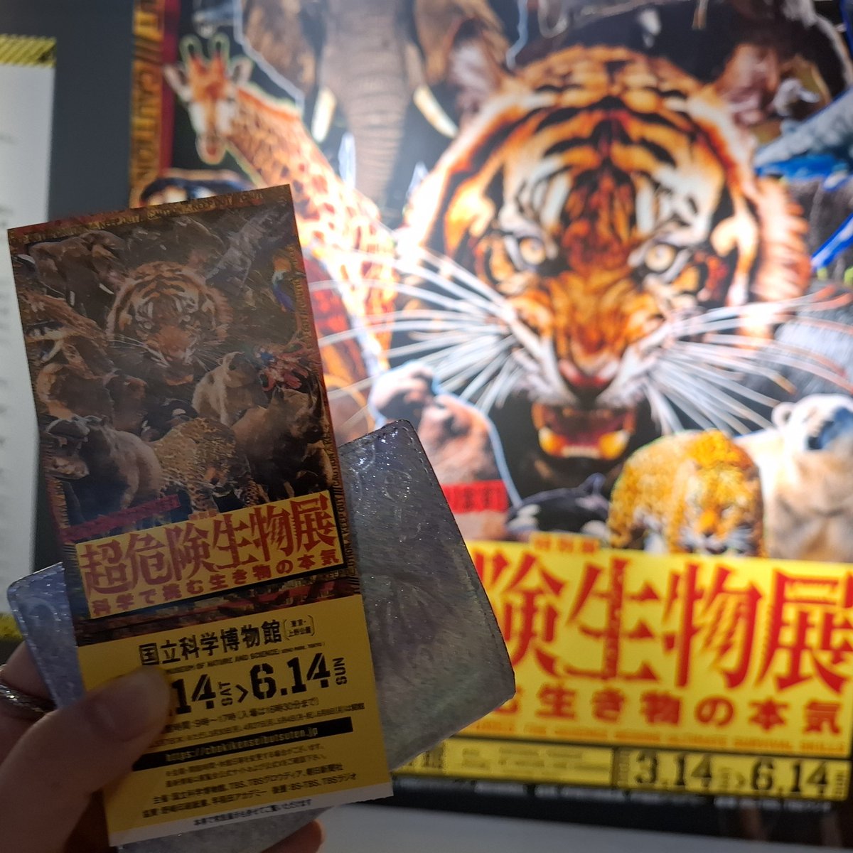 Silly@散財期 tweet media