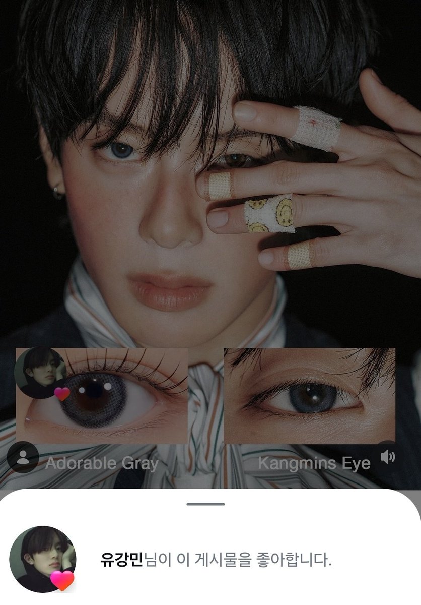 축보기 tweet media