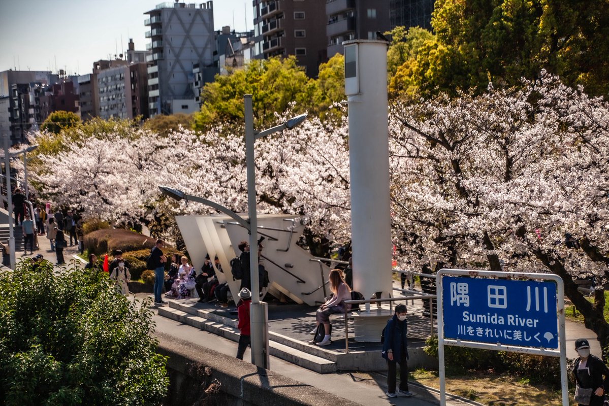 roncan0914 tweet media