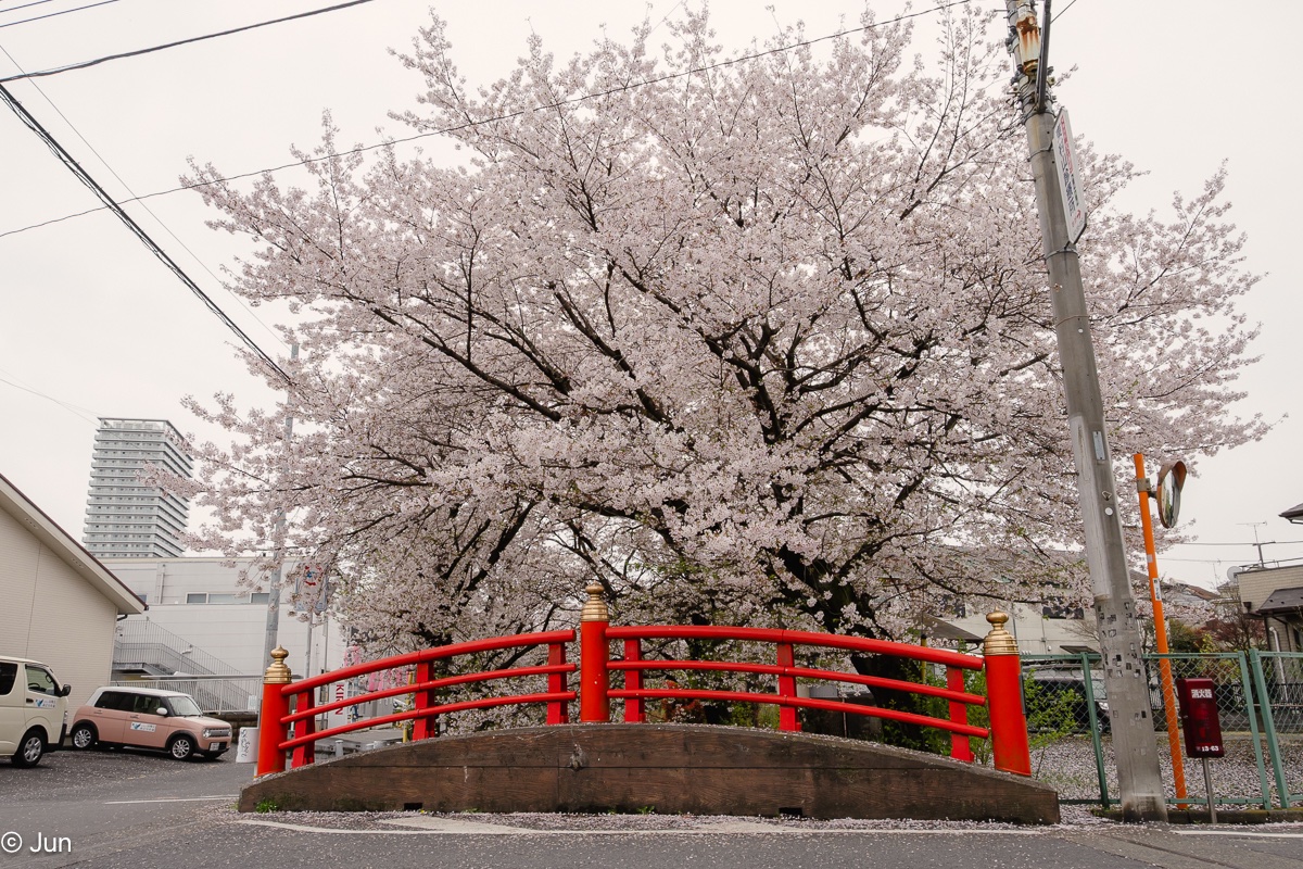 junae111n tweet media