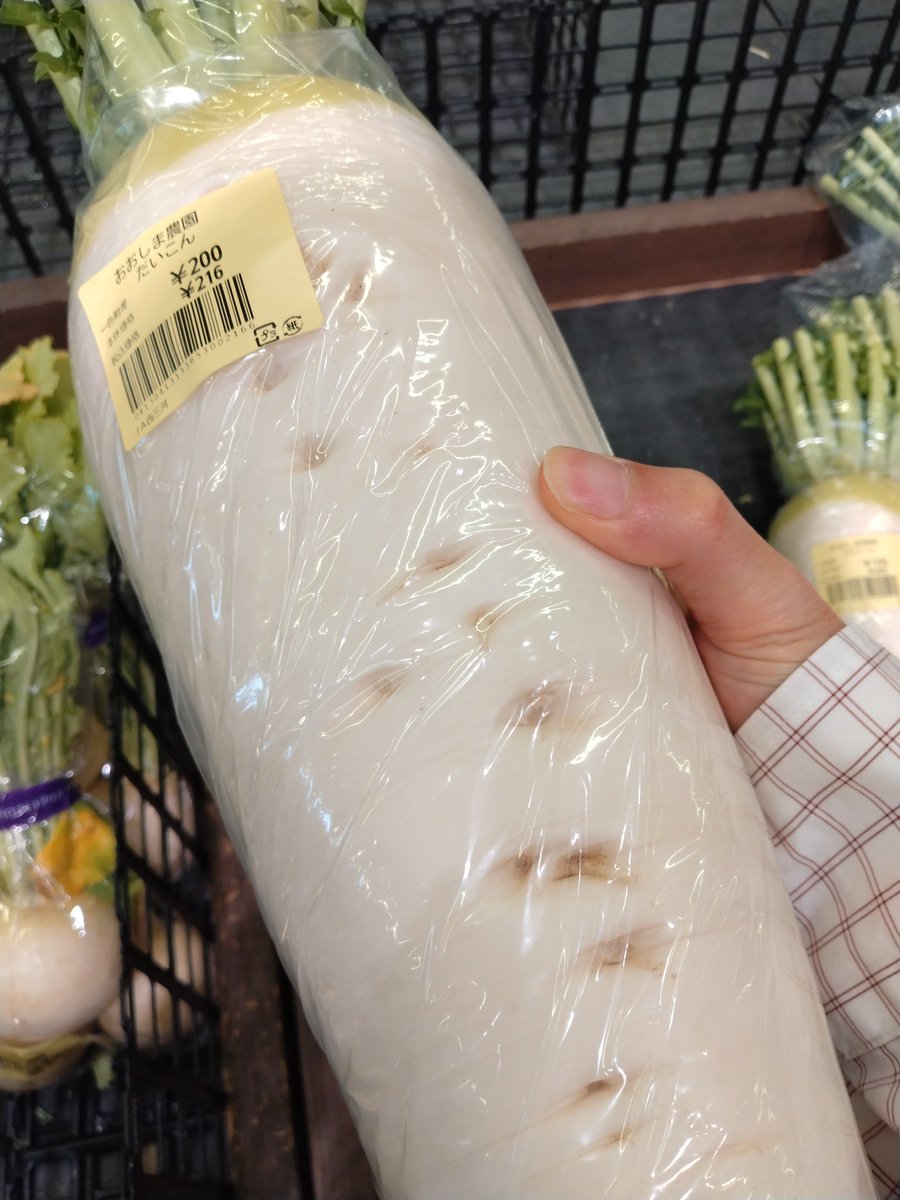 Gin🍸Lionhead🦁@Ifrit tweet media