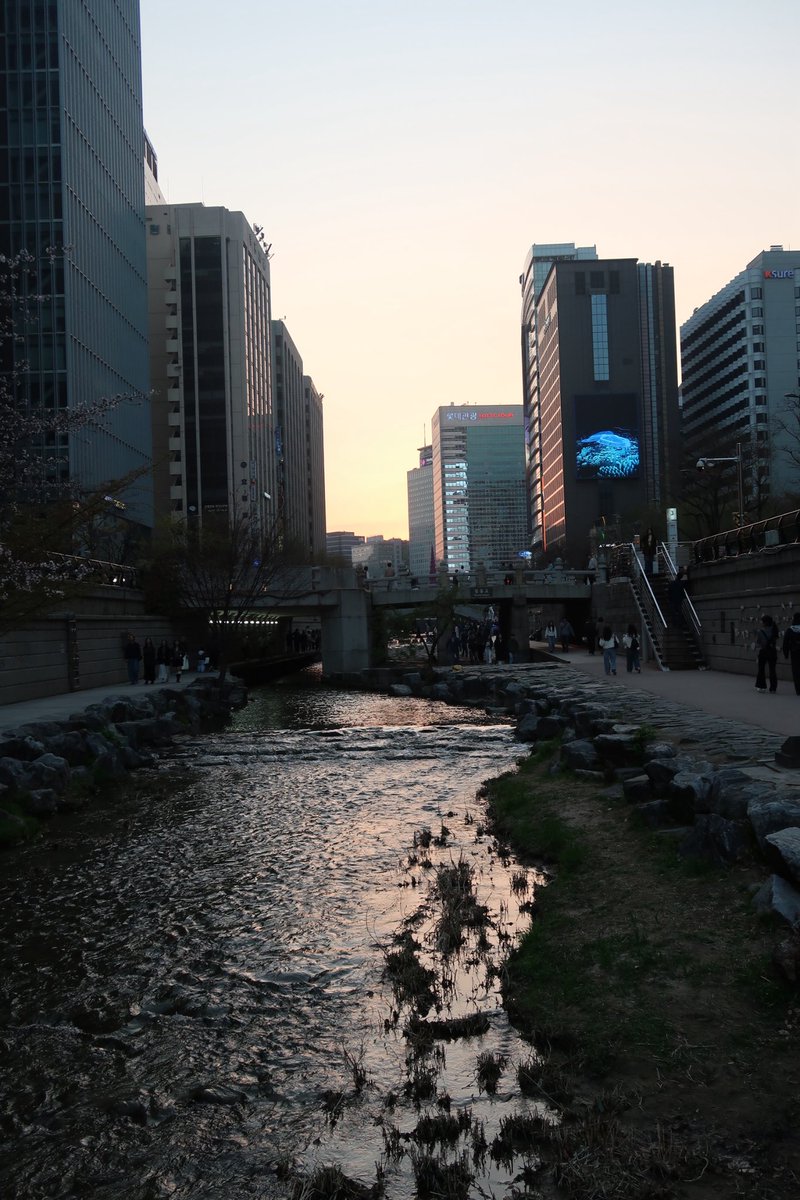 bebeyourluvv's tweet photo. 디카 들고
경북궁 > 덕수궁 > 청계천 
순으로 산책하기 딱 좋은 날씨였다 ! https://t.co/3hqAIAwXuP
