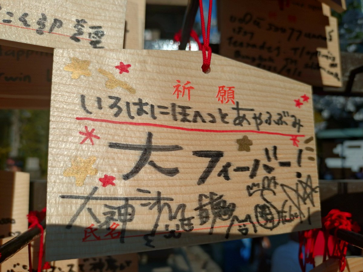 ピカソ🐻🚑️🌽🌲🐏☃️🥀🍃🐚ホロックスライブ、ういライブ参加！ tweet media