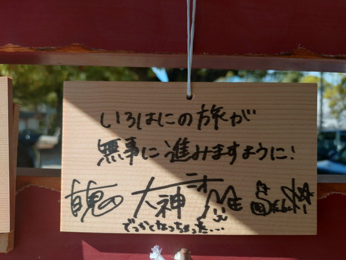 ピカソ🐻🚑️🌽🌲🐏☃️🥀🍃🐚ホロックスライブ、ういライブ参加！ tweet media