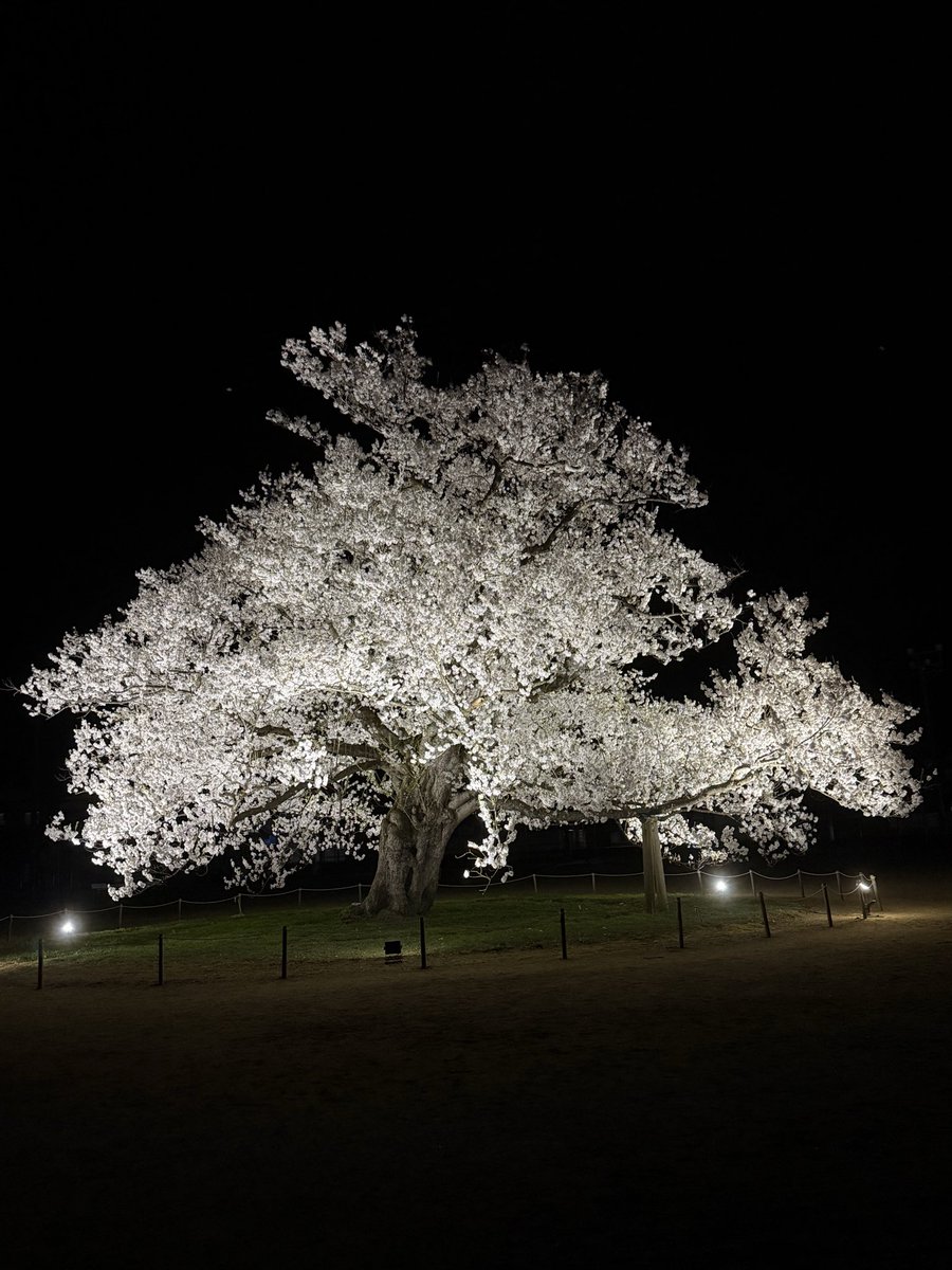 PGnerveagent tweet media