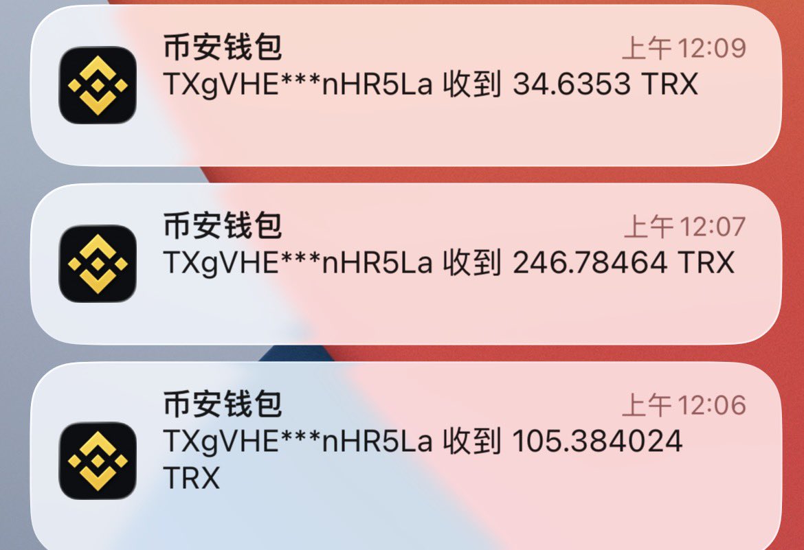 泰格🐨 tweet media