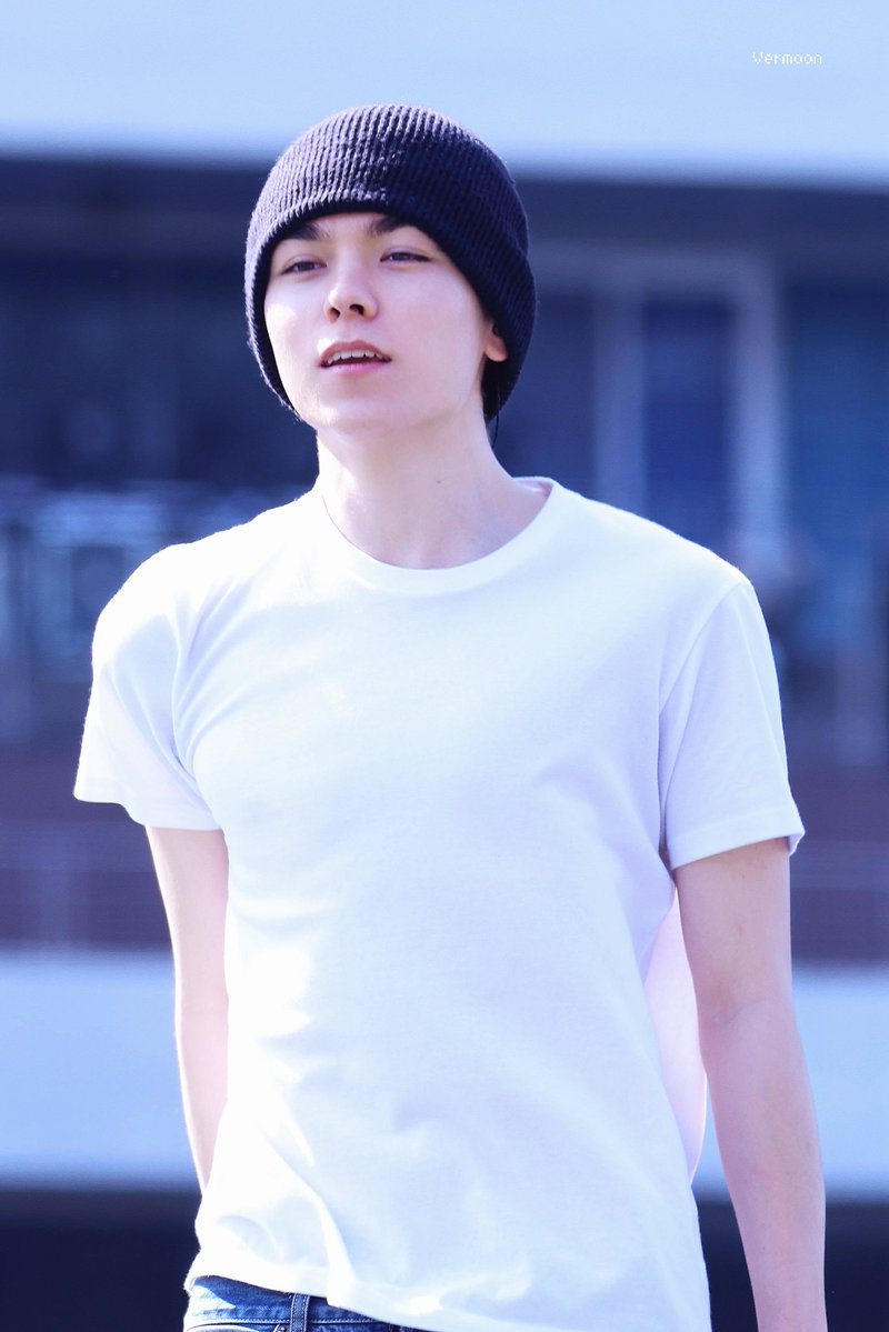 trip to vermoon tweet media