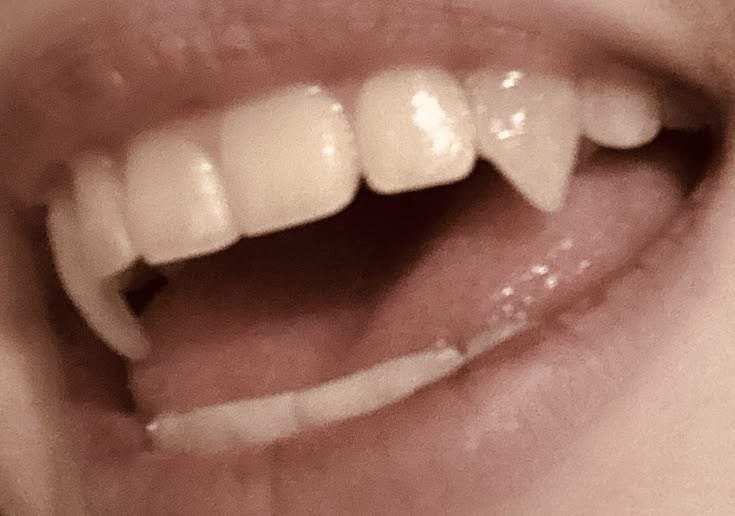 michael 🎀 tweet media