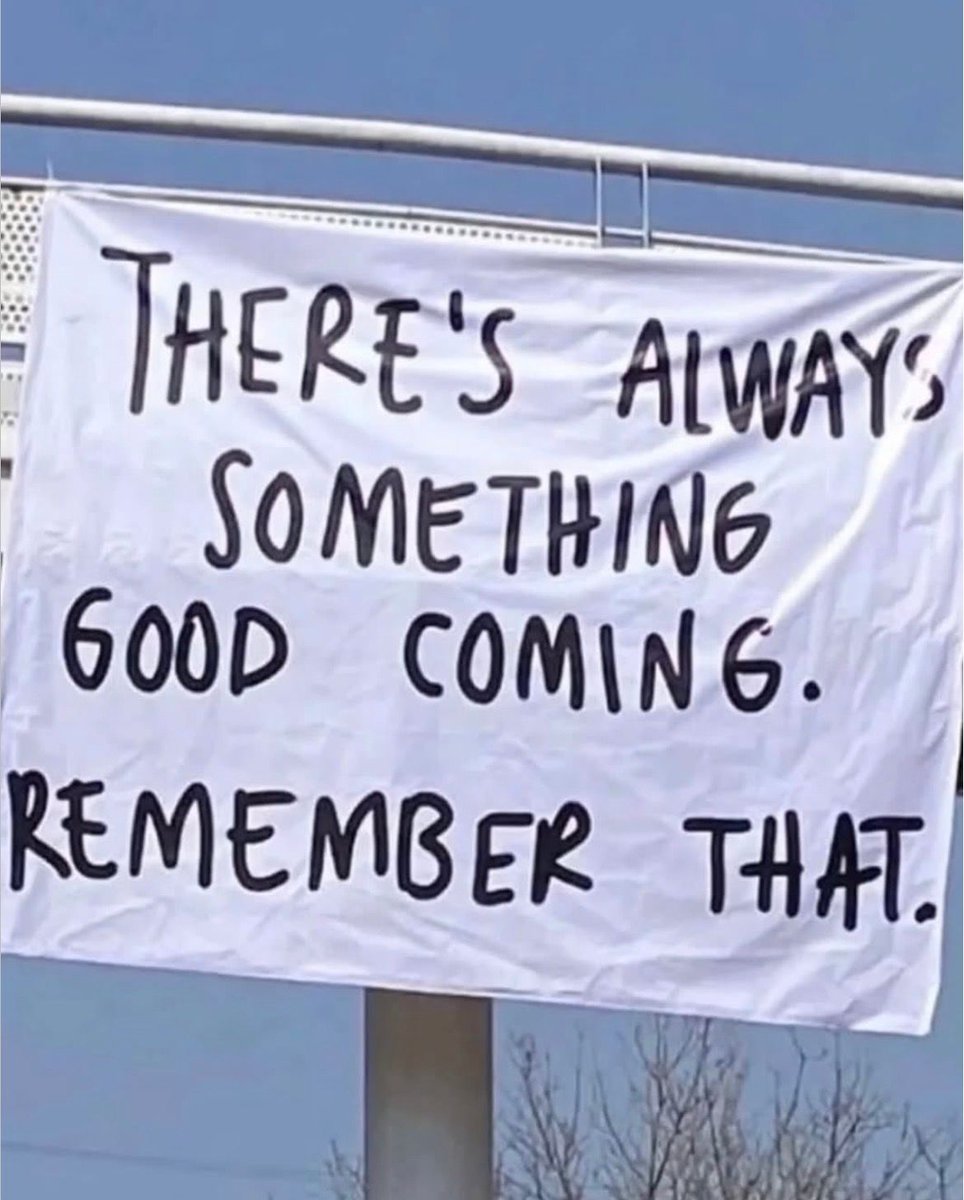 Wise Philosophy tweet media