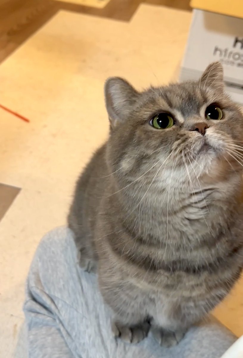 亀ぽま🐢 tweet media