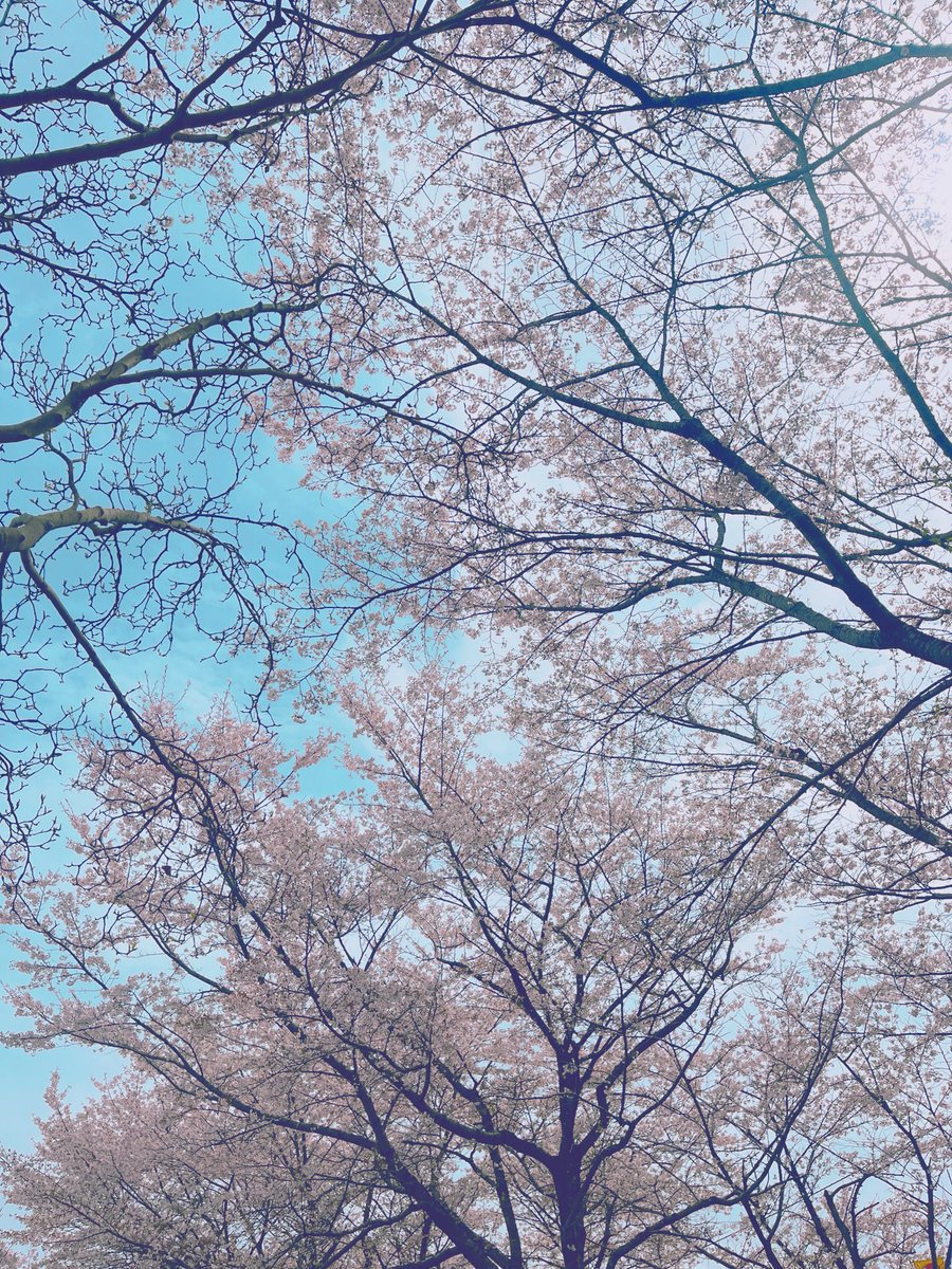 山中沙織 tweet media