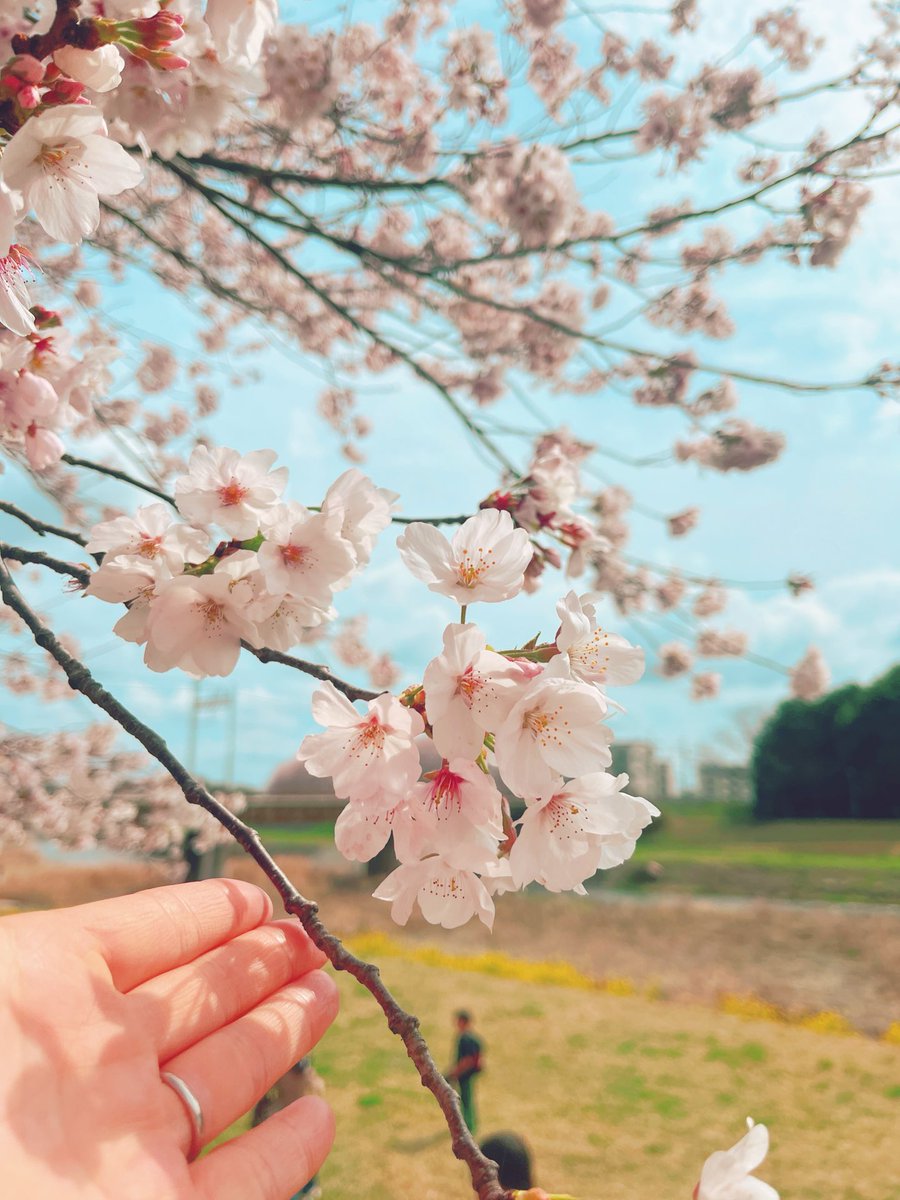 山中沙織 tweet media