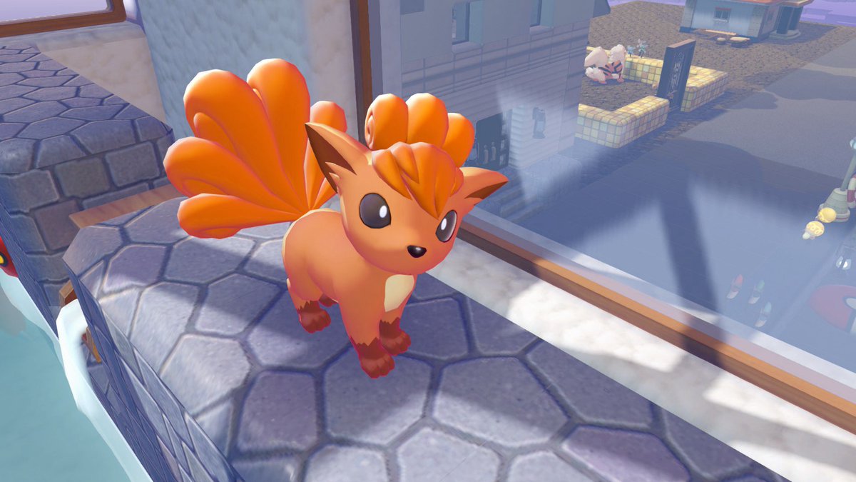 星のキーウィ/プリミディア tweet media