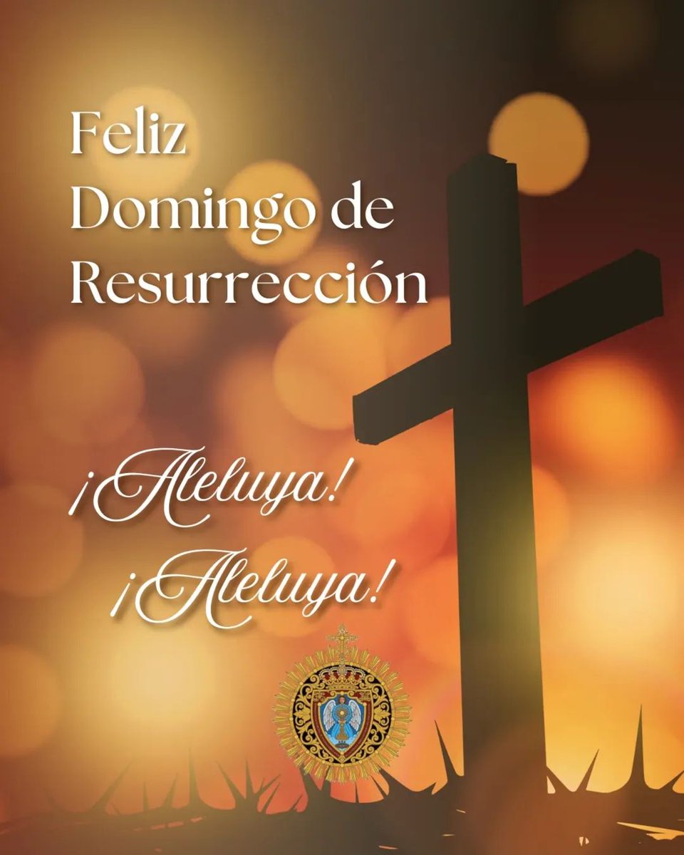 Charo Sin Más tweet media