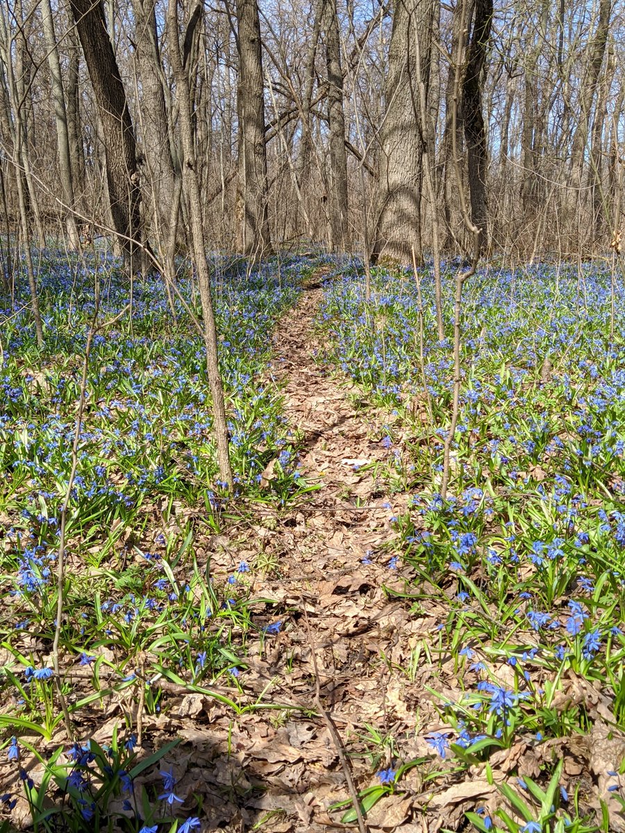 pavel maslov tweet media