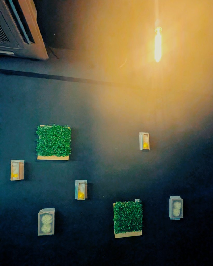 yuhi(2限間に合わないザウルス) tweet media