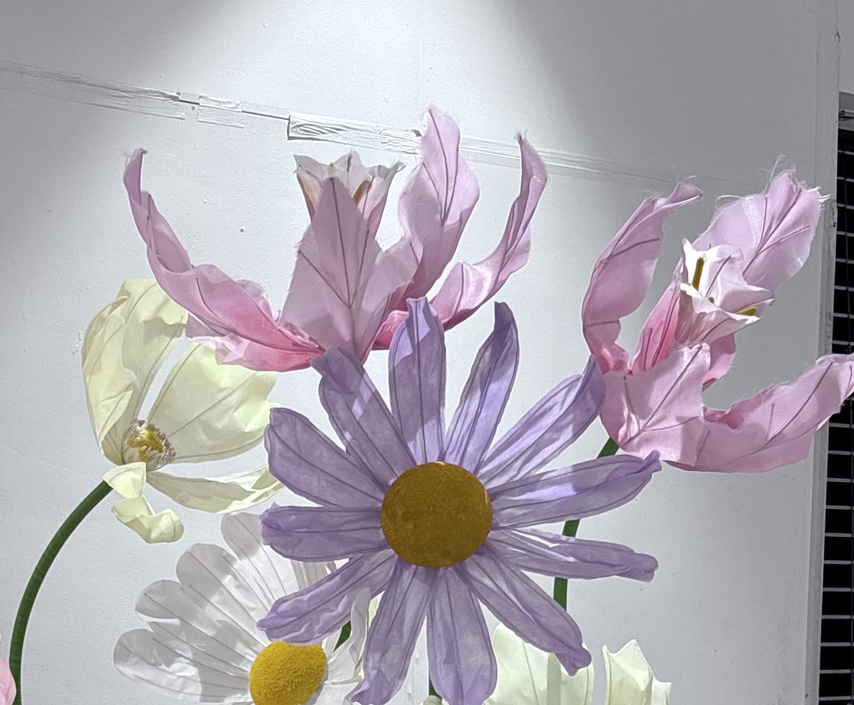 𝐂𝐡𝐞𝐧𝐄𝐗𝐎𝐓𝐡𝐚𝐢𝐥𝐚𝐧𝐝⚡️ tweet media