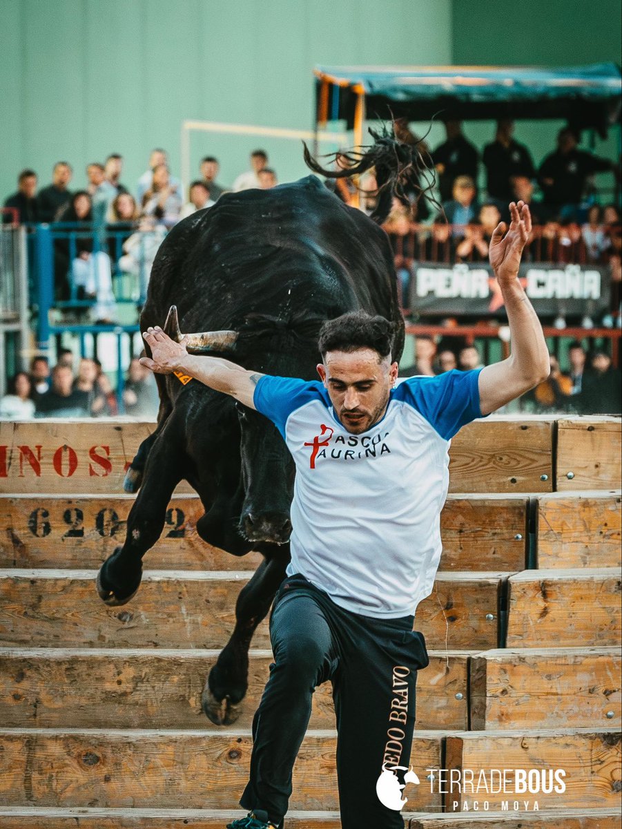 Terra de Bous tweet media