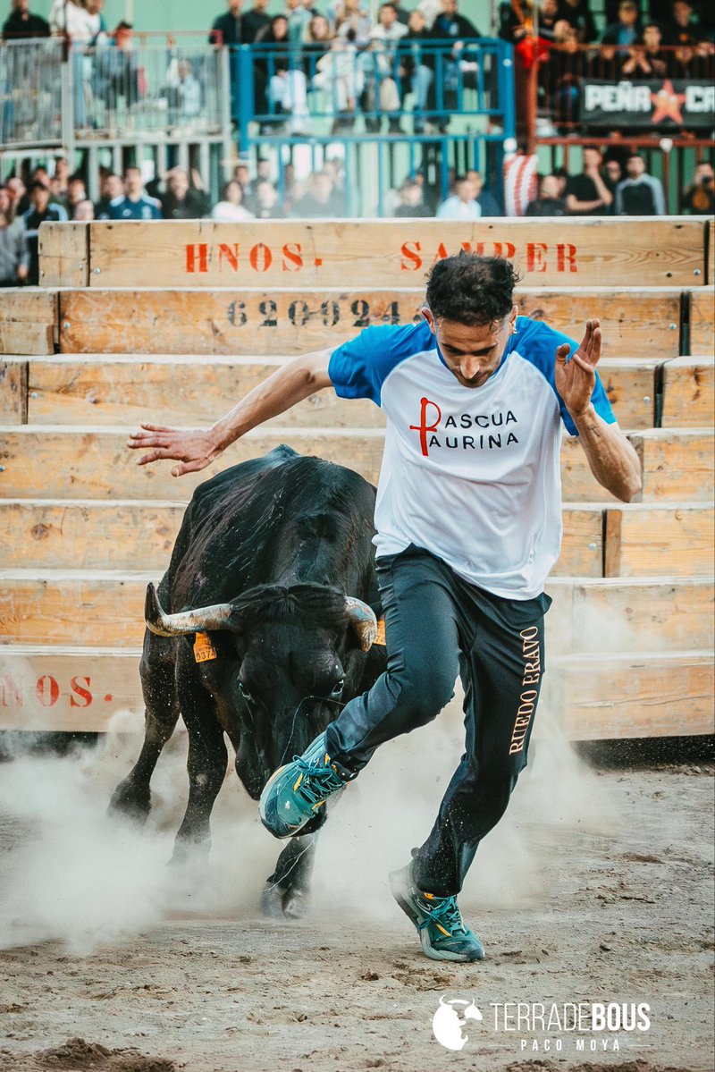 Terra de Bous tweet media