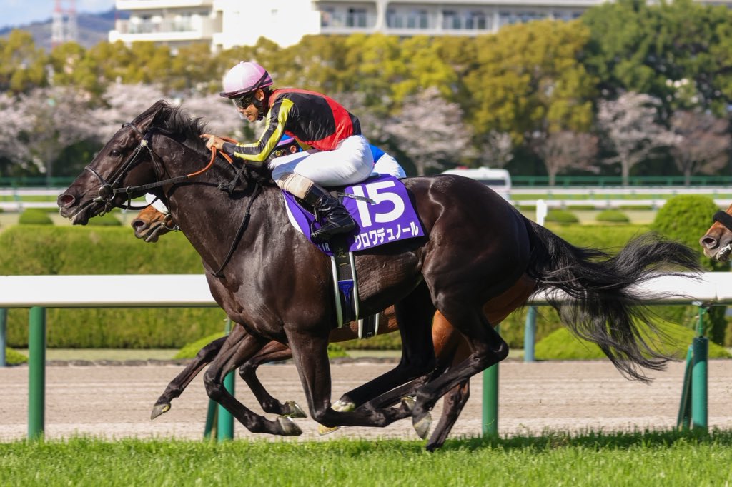 俺ん家゛🍊 tweet media