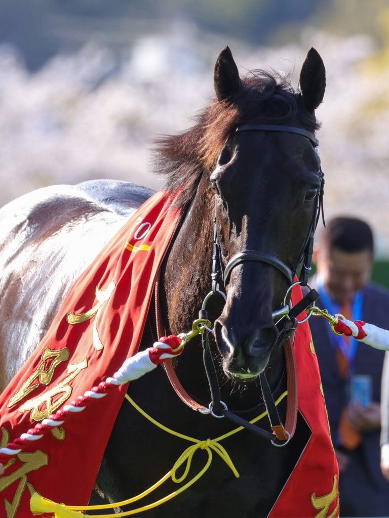 俺ん家゛🍊 tweet media