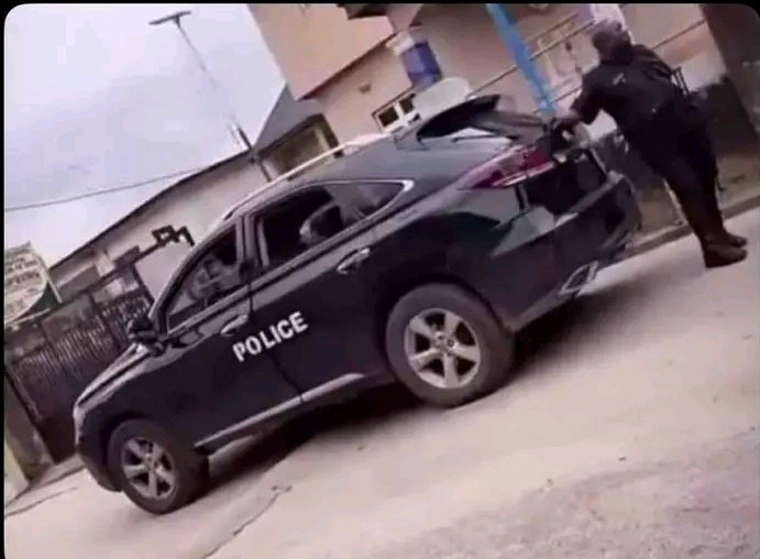 Bona King 👑 tweet media