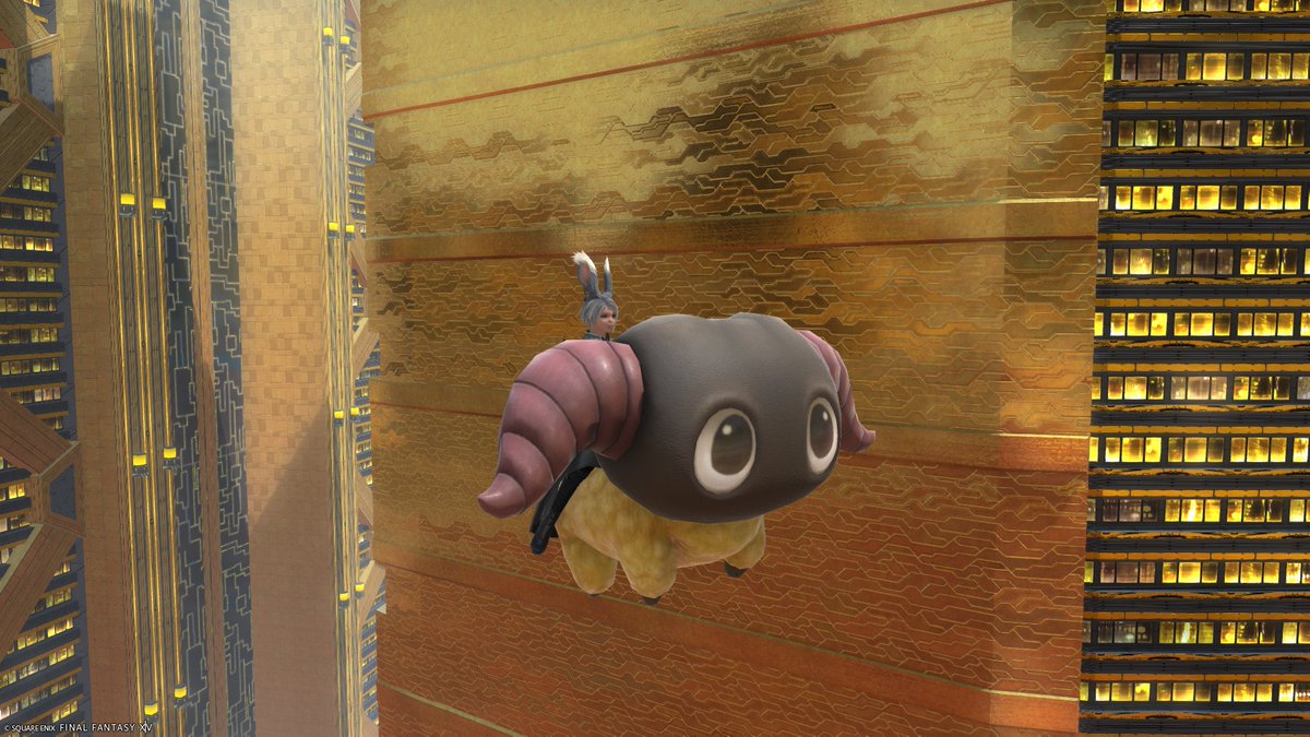 西園寺 雪那 tweet media