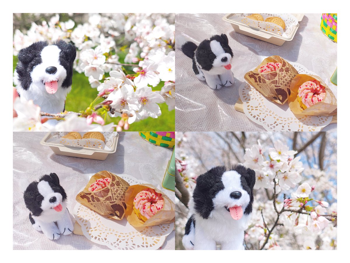 もも🐝☁ tweet media