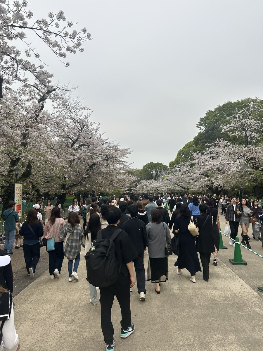 ヤグラ tweet media