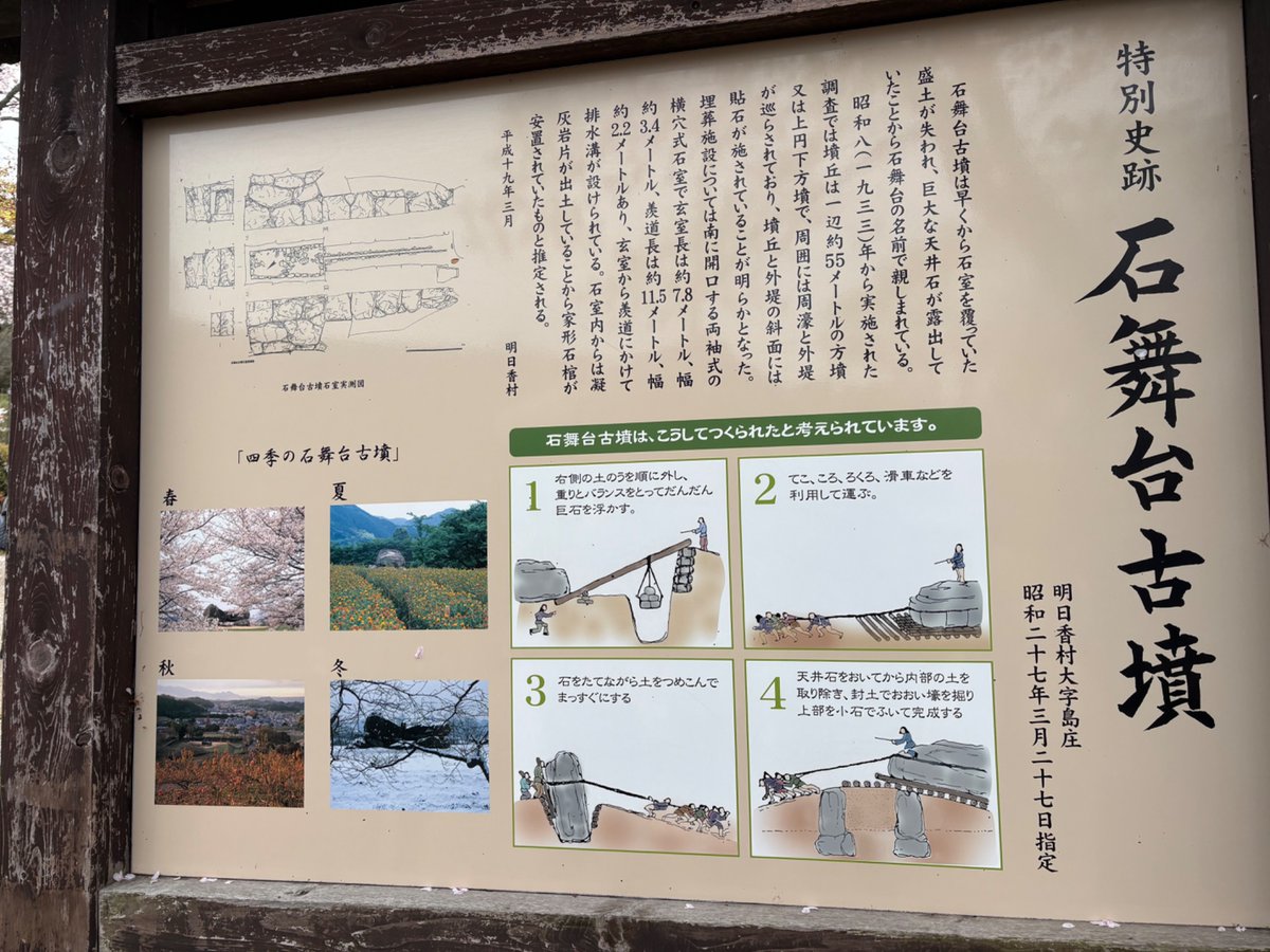 れゐこ tweet media