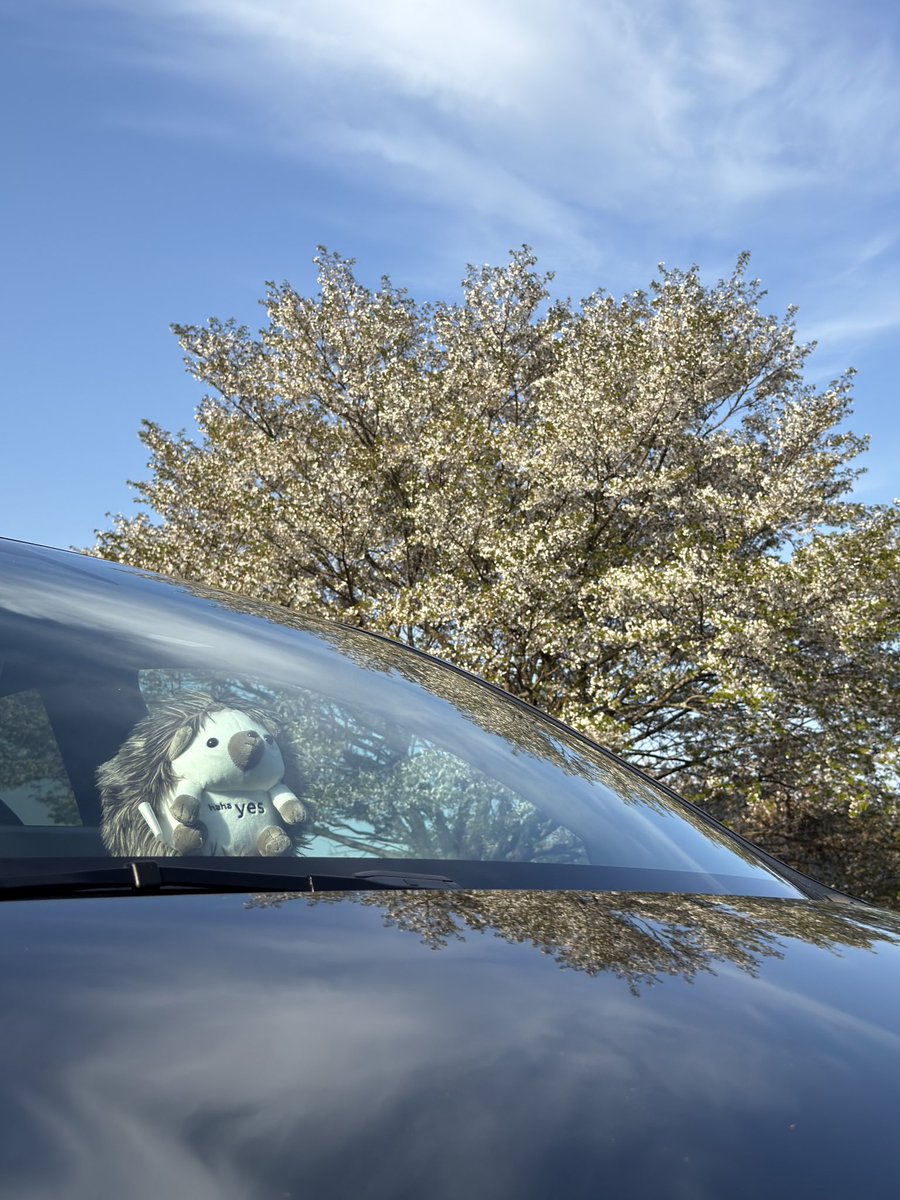 MISAWAY【みささん】 🪚📷📽 tweet media