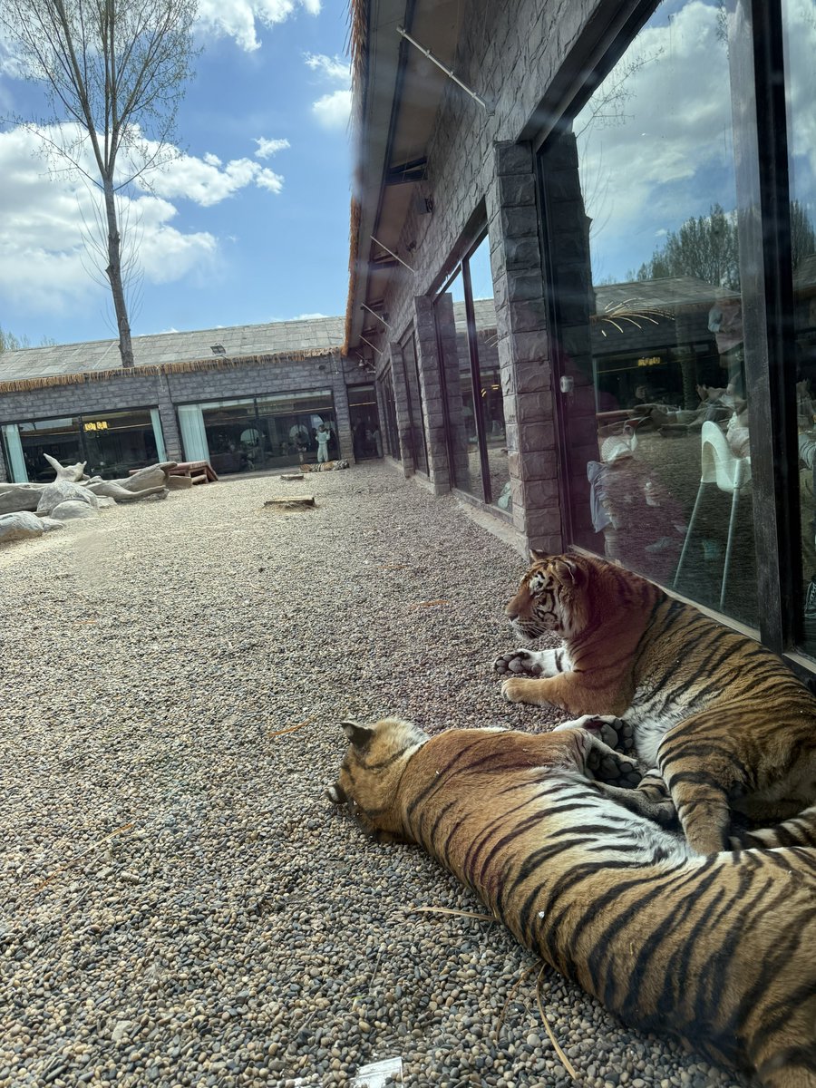 潦草文子 tweet media