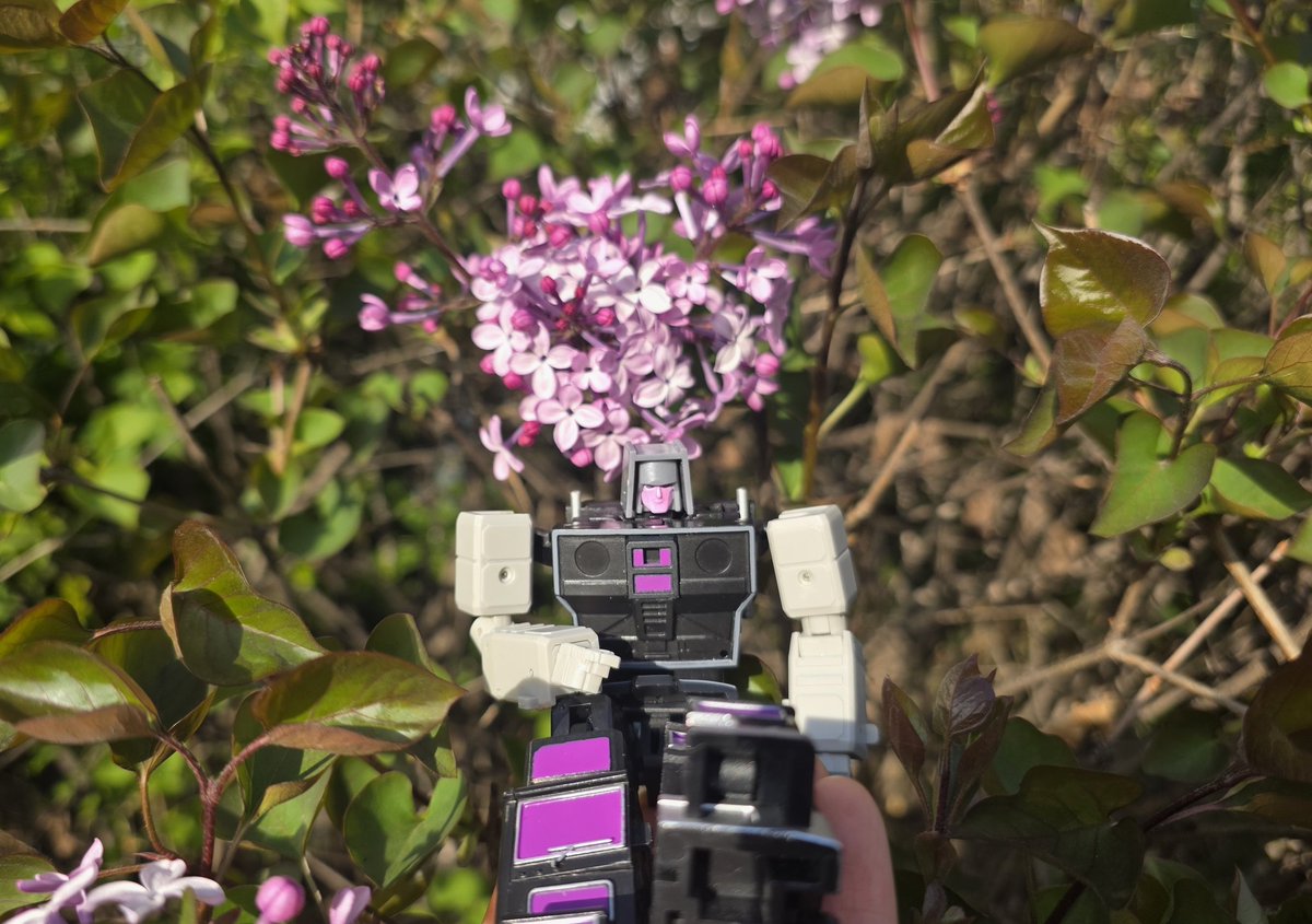 세탁소 tweet media