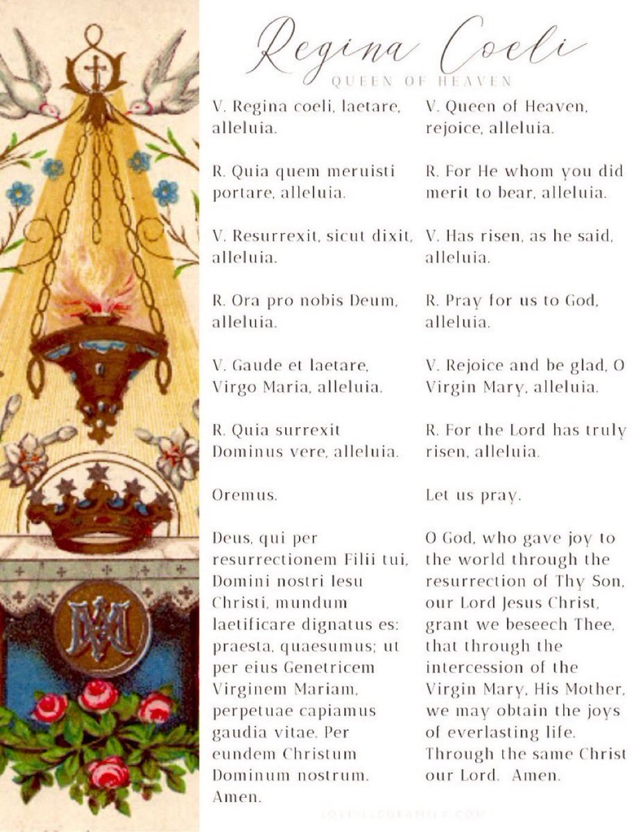 Father V tweet media