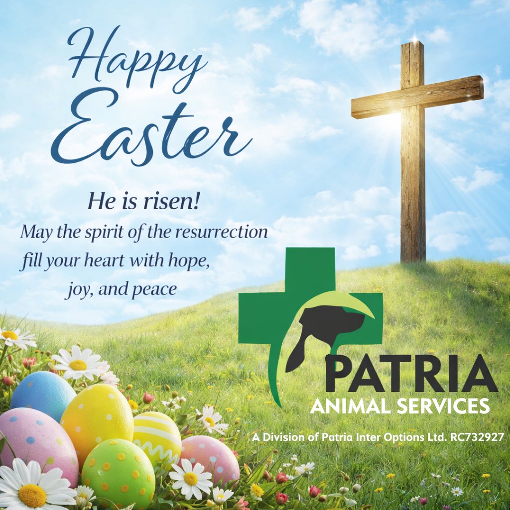 patria_vet's tweet photo. Happy Easter people https://t.co/GbKGyp84I9