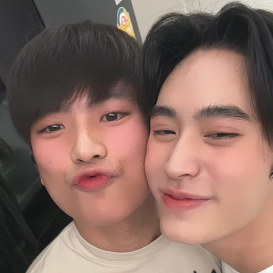 พอชอ tweet media