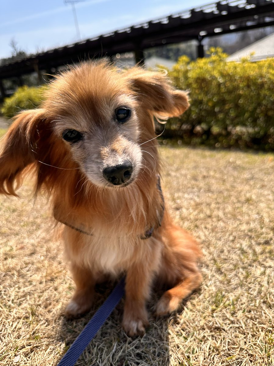 いつき🐉🧸 tweet media