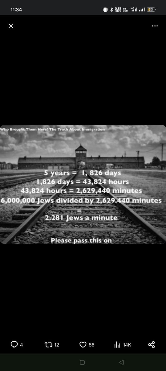 YoungNba tweet media