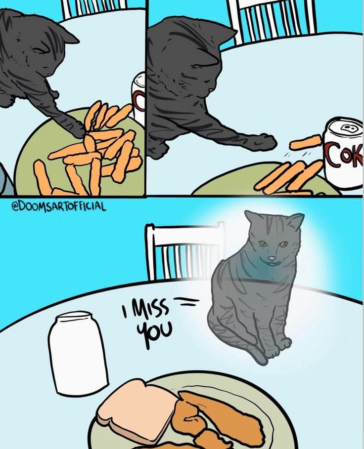 The pets only 🐾 tweet media