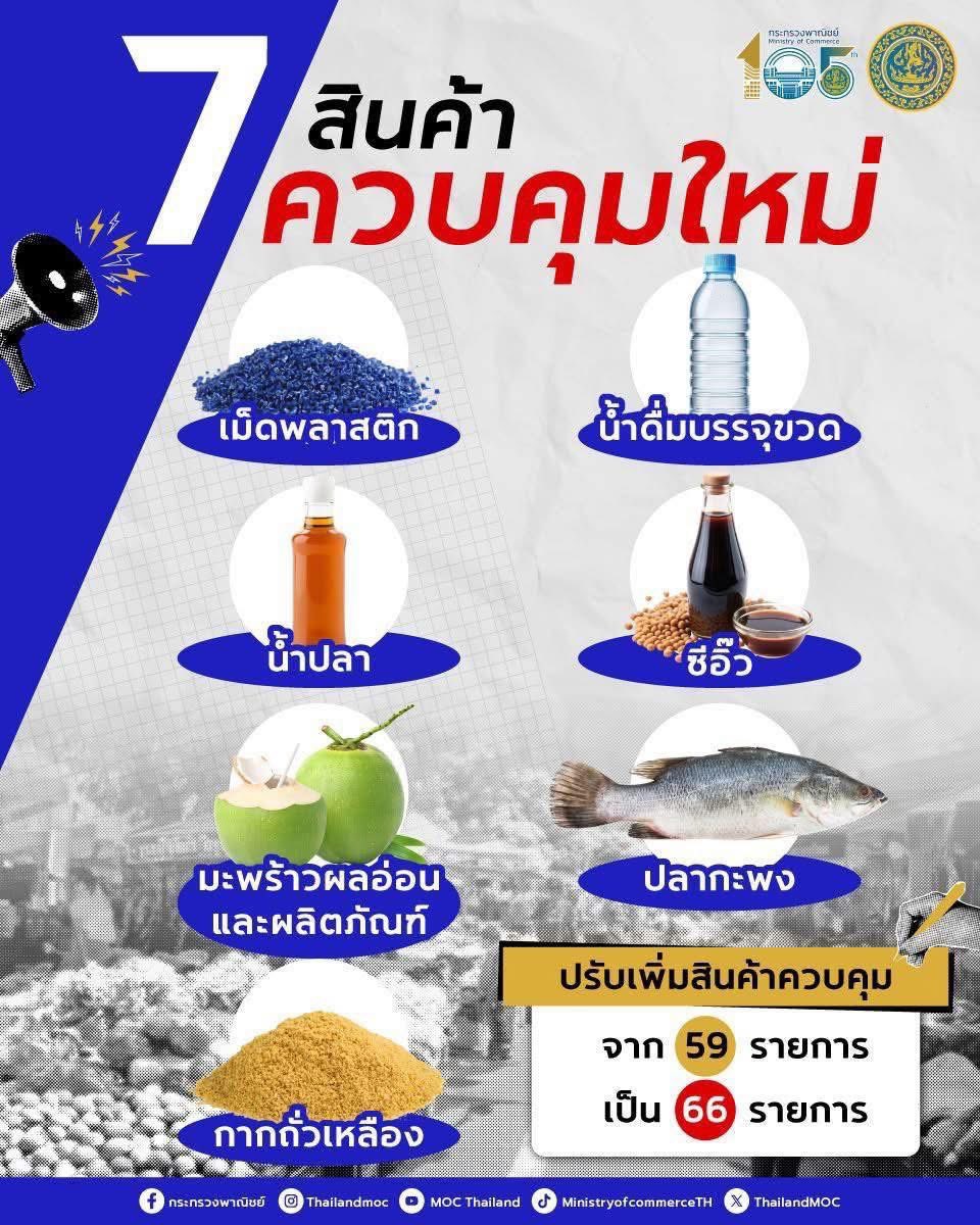 Shiba 🥟🍜 Slim tweet media