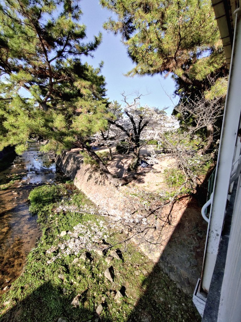 tomocococo tweet media