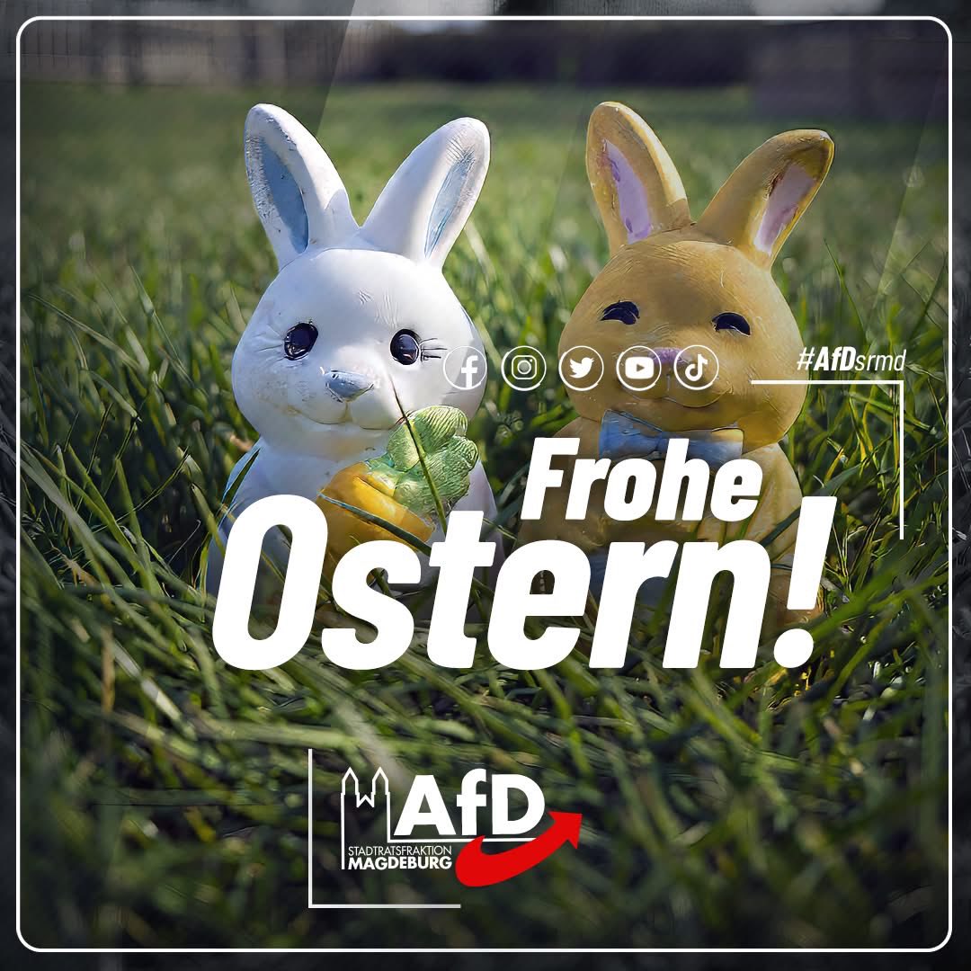 AfD - Stadtratsfraktion Magdeburg tweet media