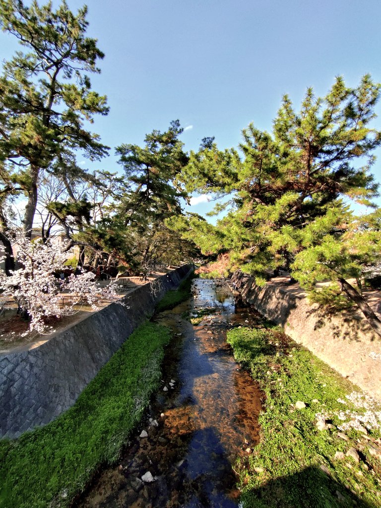 tomocococo tweet media