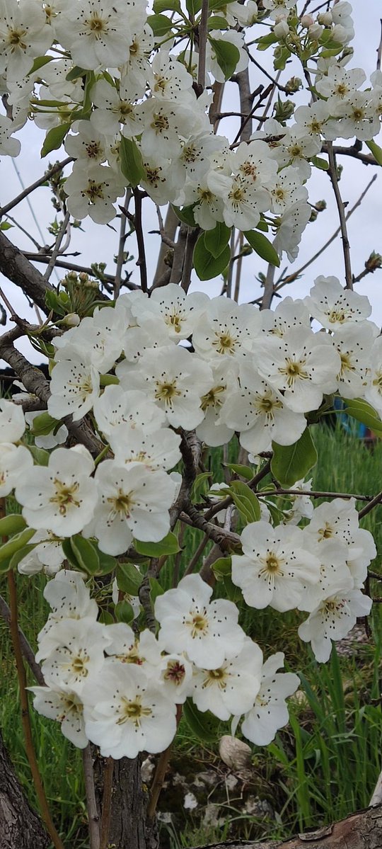 Günaydın
Mutlu Pazarlar