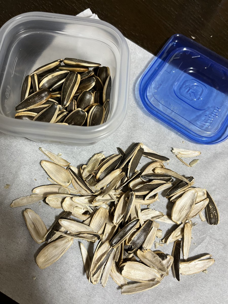 としょぞう tweet media