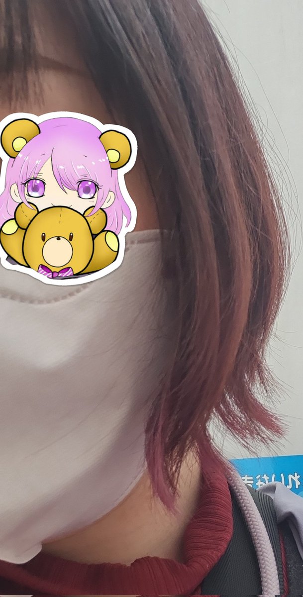 🧸ぽむぽむ🧸 tweet media