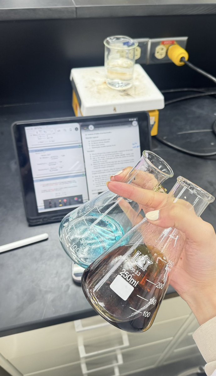 llliieey tweet media