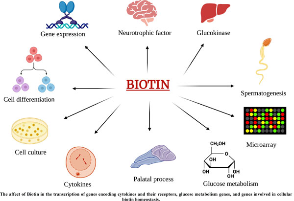 Dr Sam Soete tweet media