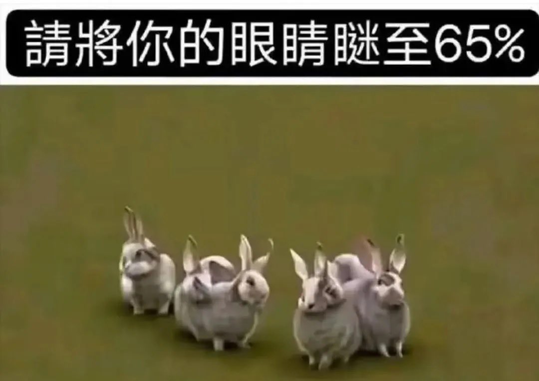 Kyle 不写代码🦞 tweet media